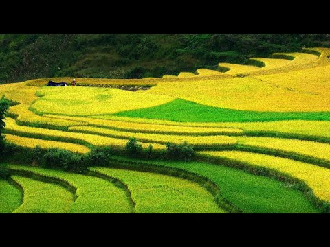 Sự Bùng Nổ Của Video Ngắn và Trí Tuệ Nhân Tạo: Vai Trò Thiết Yếu Của Đào Tạo Kỹ Năng Sáng Tạo Nội Dung_Ứng dụng Hotspot Matrix